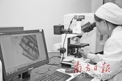 松山湖發力生物產業 精準扶持生物技術開發，打造創新高地